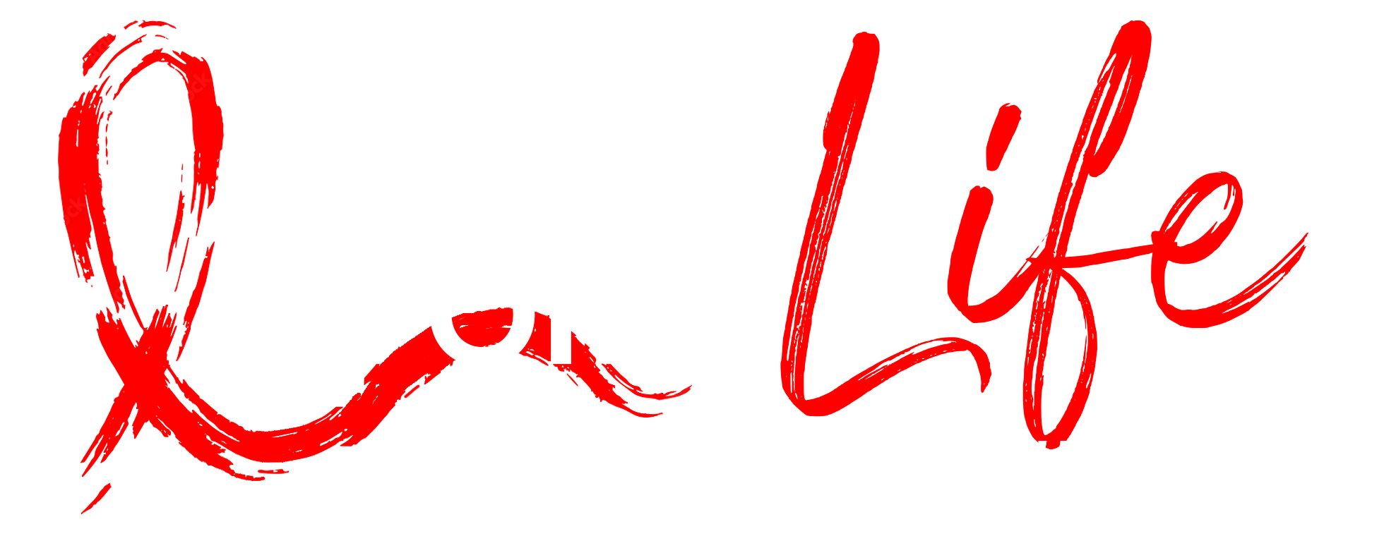 2024 Honolulu AIDS Walk 